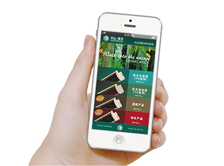 手機網(wǎng)站制作需要了解哪些要點(圖1) 手機網(wǎng)站制作